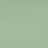 Neycko T-Shirt | Mint Groen